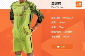 AYX SPORTS-多特蒙德历史最强阵容